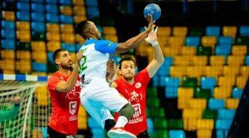 سقوط الجزائر والانتصارات تتوالى.. نتائج قمة الجولة في بطولة أفريقيا لكرة اليد